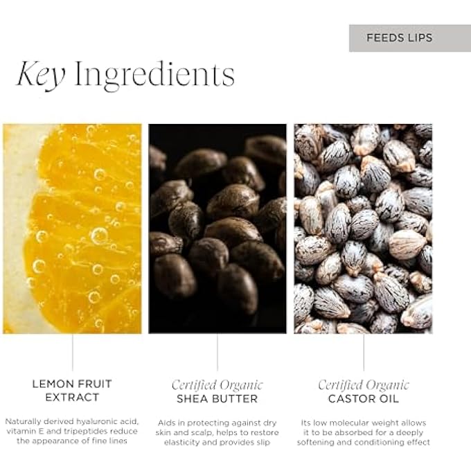 Intelligent Nutrients ONEBODY LIP DELIVERY NUTRITION, ANTIOXIDANT-RICH LIP BALM NOURISHES, PROTECTS, AND PERFECTS, FOR ALL SKIN TYPES, 0.3 OZ - Image 4